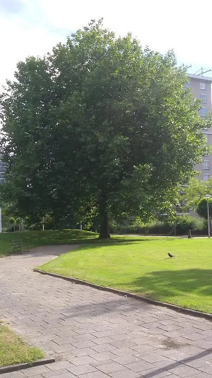 Apartment With Garden, Amsterdam Zuid/Rai/Wtc 0*,